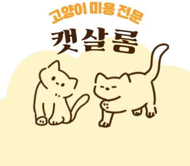 고양이 미용 전문 캣살롱